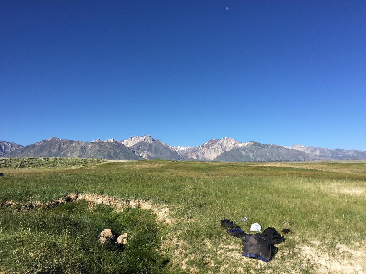 Mammoth Hot Springs, CA