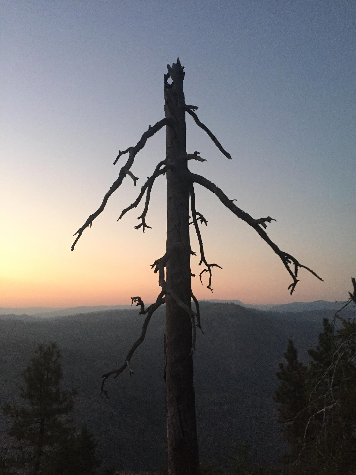 Poopenaut Valley, CA