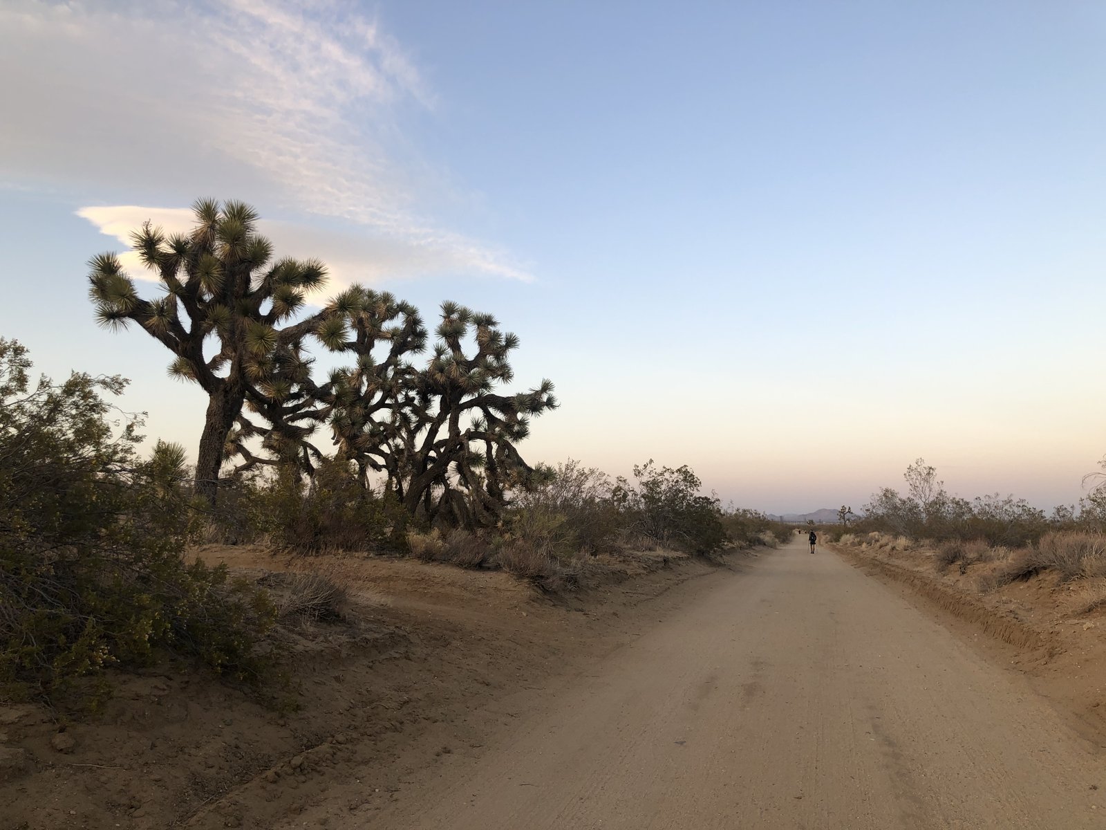 The Infamous Tehachapi Challenge